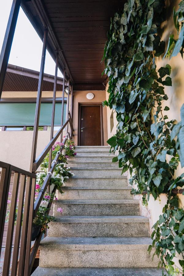 טימישוארה The Home מראה חיצוני תמונה